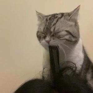 忽悠新婚少妇推油按摩
